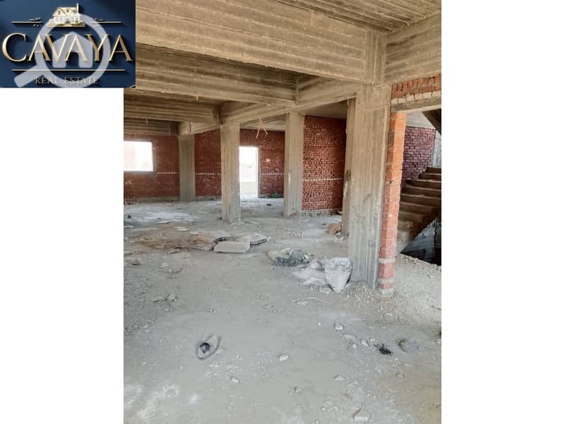 6 Untitled design (5). png