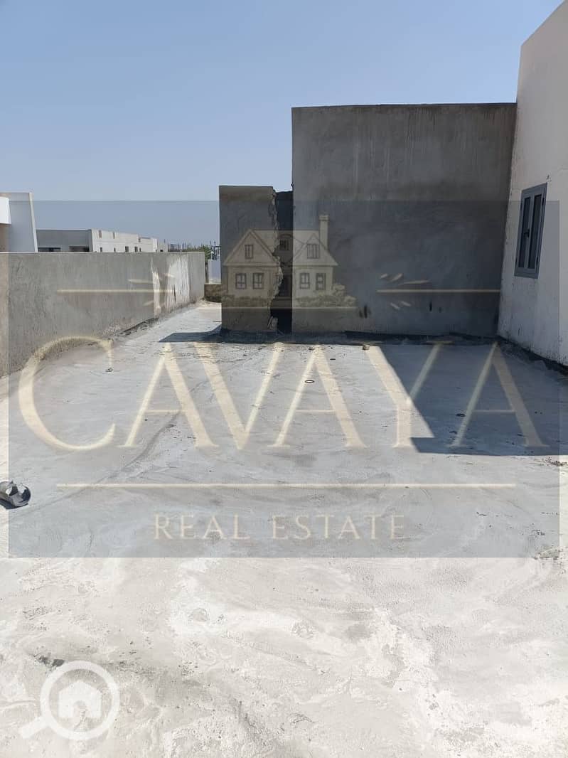 11 Untitled design (9). png