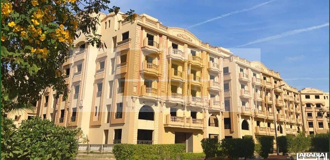 12 WhatsApp Image 2025-10-20 at 11.28. 38_ef567b81. jpg