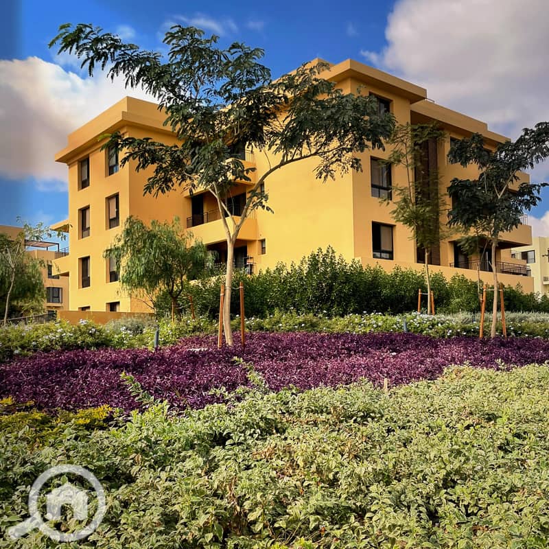 7 IMG-20241211-WA0008. jpg