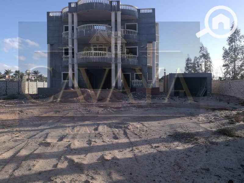 2 Untitled design (1). png