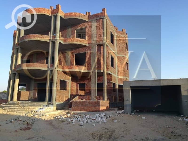 3 Untitled design (2). png