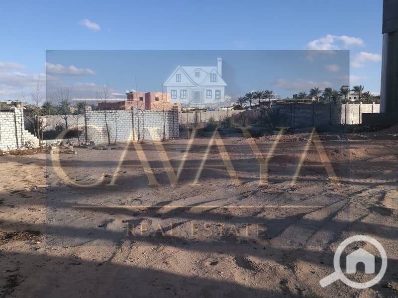 4 Untitled design (4). png