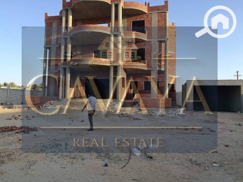 5 Untitled design (5). png