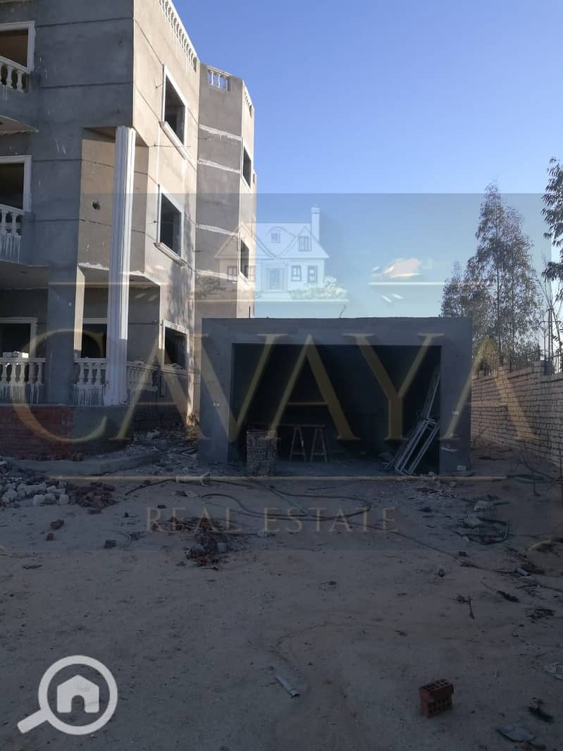 6 Untitled design (6). png