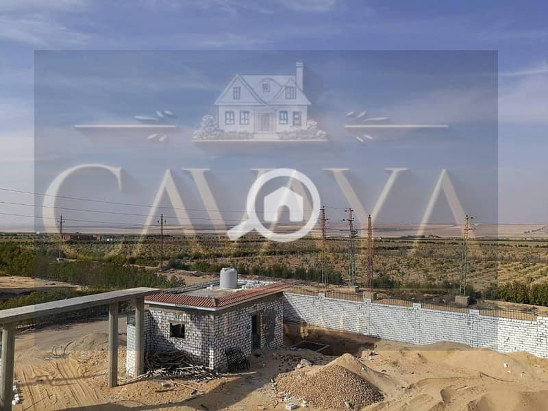 7 Untitled design (7). png