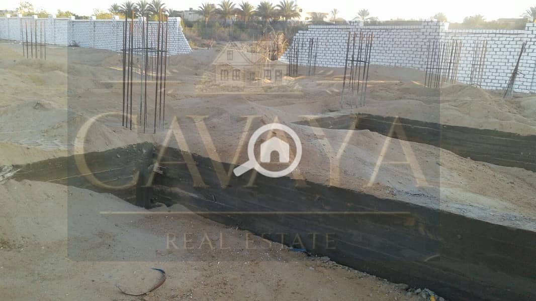 10 Untitled design (13). png