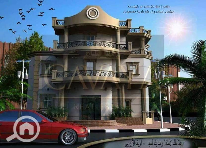 12 Untitled design (19). png