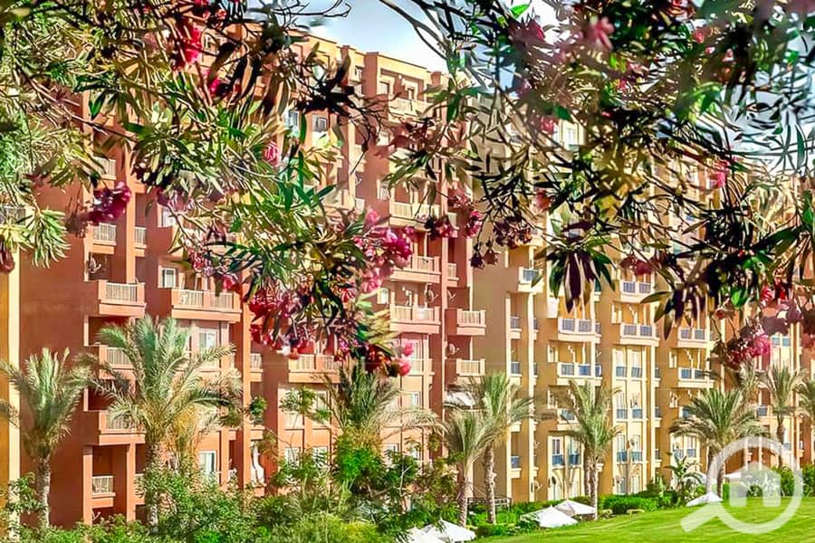 7 WhatsApp Image 2025-05-06 at 12.31. 23 PM (1). jpg