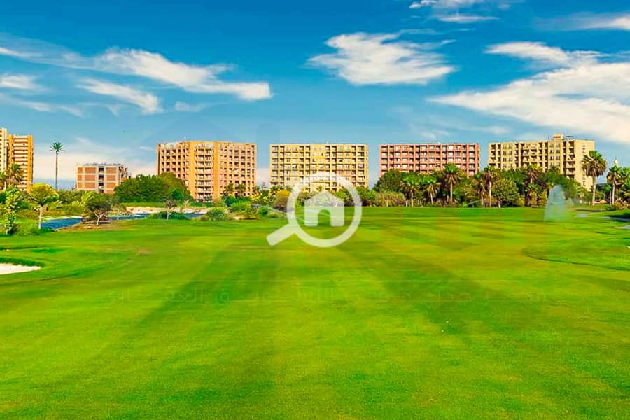 8 WhatsApp Image 2025-05-06 at 12.31. 24 PM (1). jpg