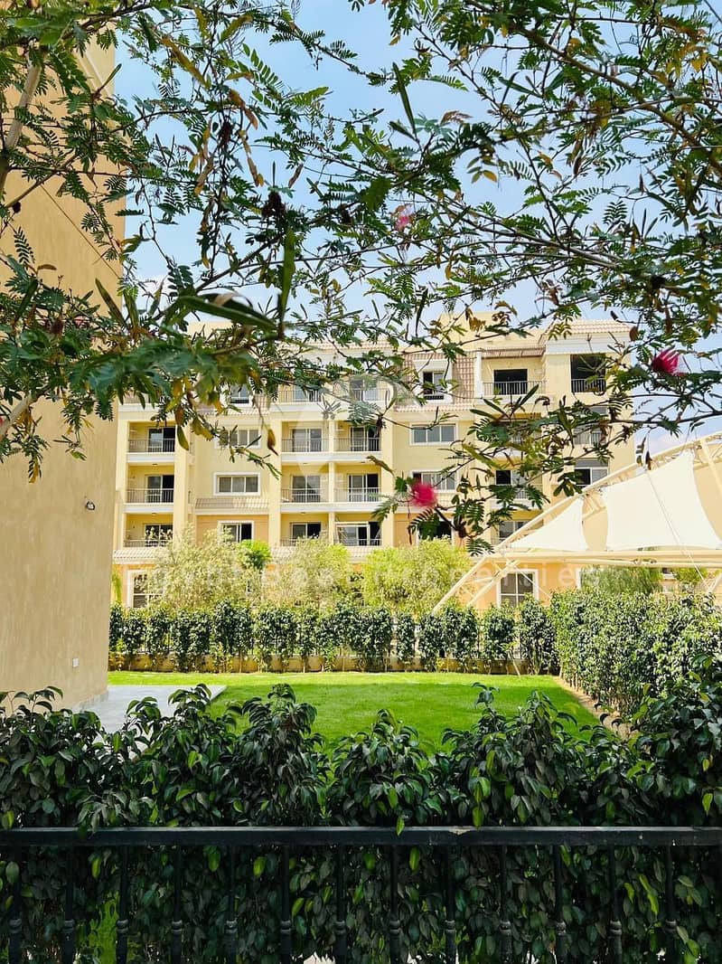 6 559448211_25256571037313341_6827309406974769103_n. jpg