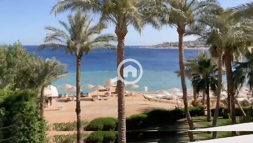 10 3d549070-cd84-423e-b60c-fdc884ba6ee8. jpg