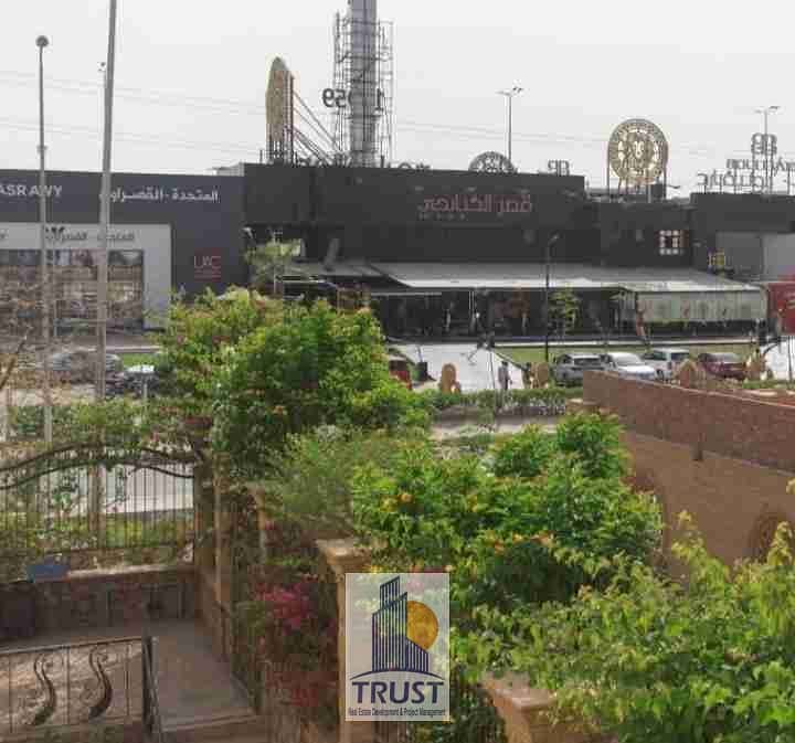 1000248290. jpg 1000248290. jpg