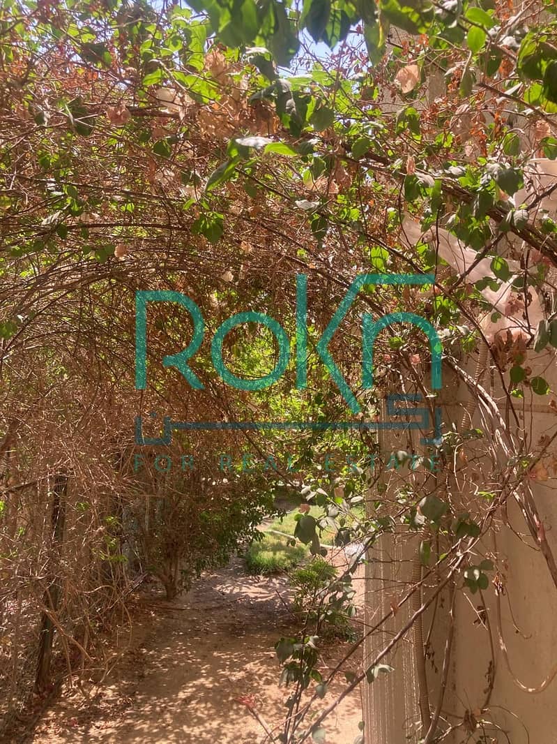 4 WhatsApp Image 2025-11-23 at 12.59. 27 PM (3). jpeg