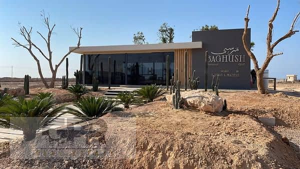 3 491918398_685076330602941_4276908823145233332_n. jpg