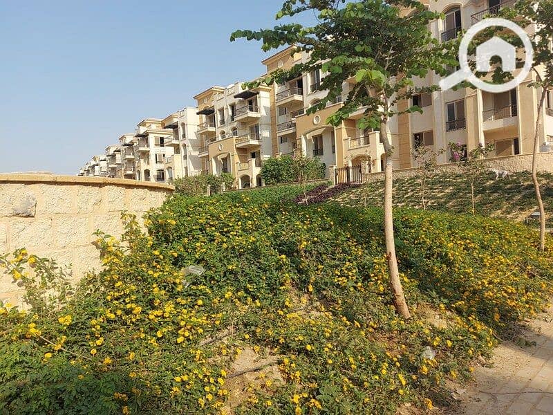 6 WhatsApp Image 2025-11-09 at 14.22. 53_228272b7. jpg