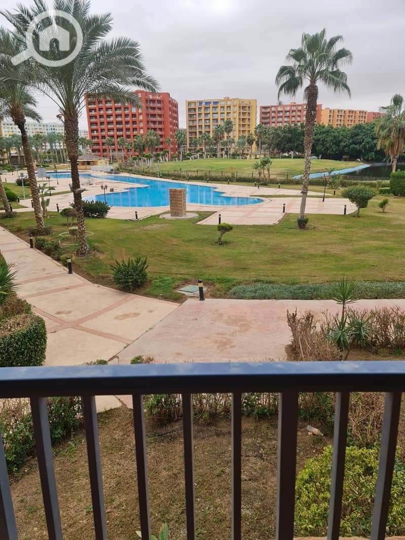 3 56c2dc01-085d-43f8-946c-15b7825fea5a. jpeg