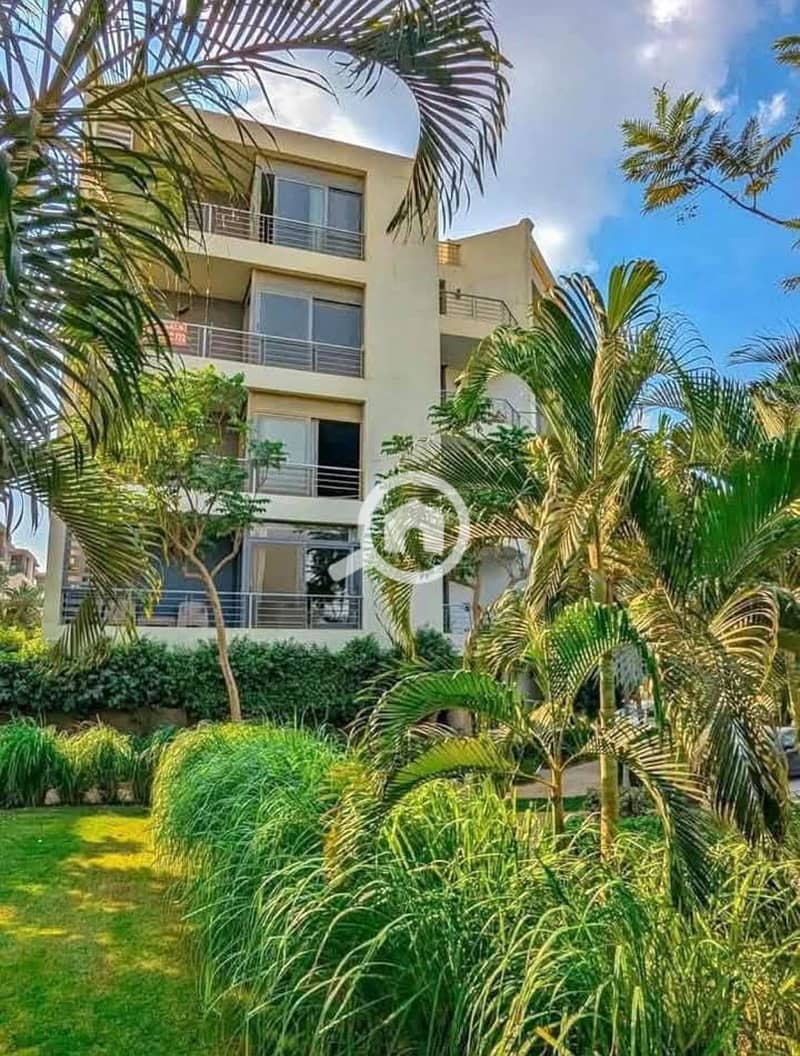 6 536270336_1310074627310989_1468067799526173563_n. jpg