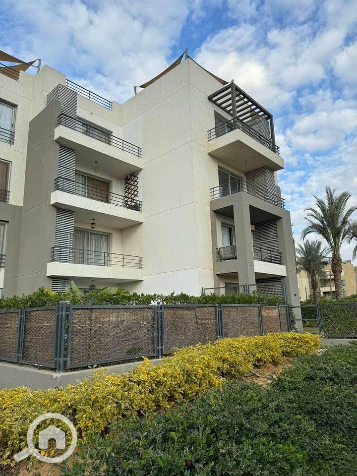 4 441514081_1902353013539235_2640103422994999887_n. jpg