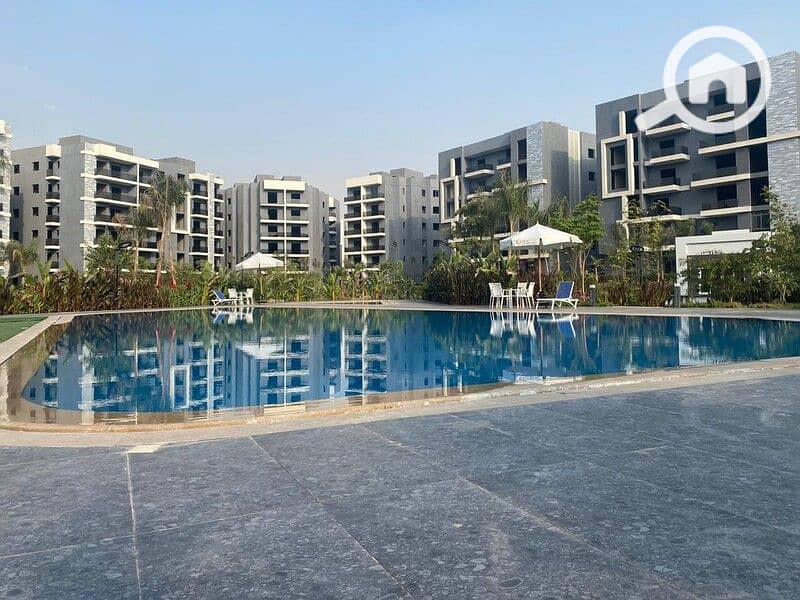 4 312370407_5434920909939169_207656623648241546_n. jpg