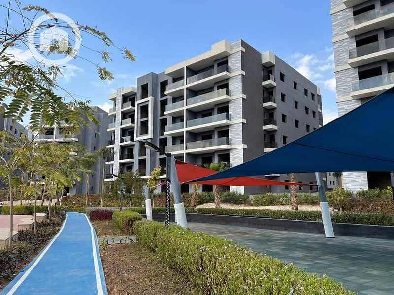 10 383083443_170689106074467_992956438893404636_n. jpg