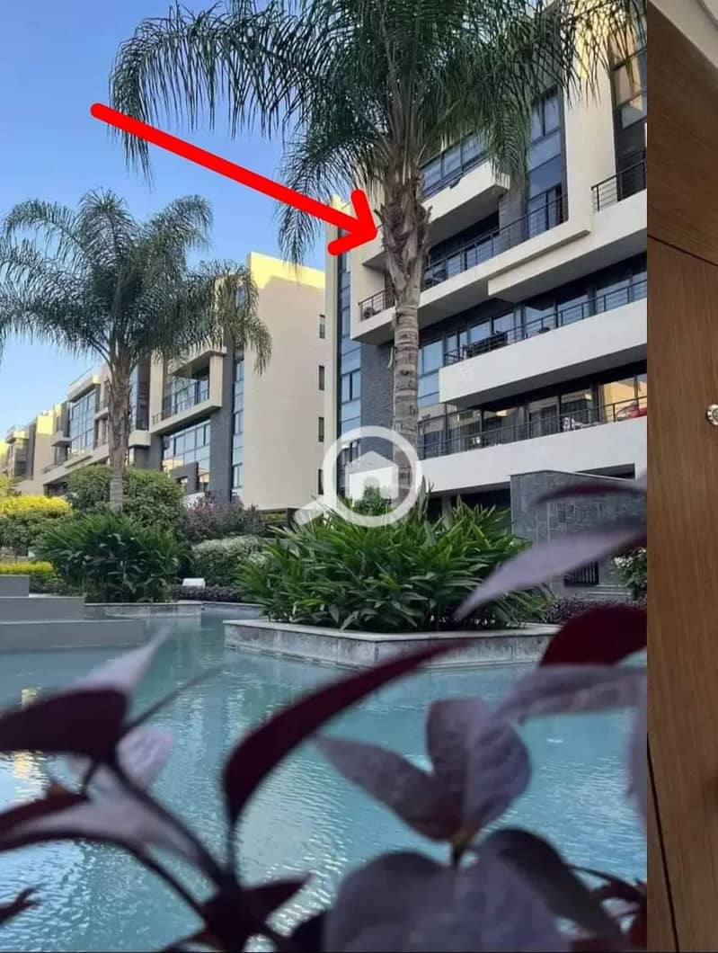 387782692_737774228180397_5275171923607097934_n. jpg 387782692_737774228180397_5275171923607097934_n. jpg