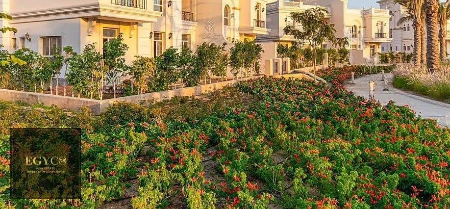 9 33344406-800x600. jpg