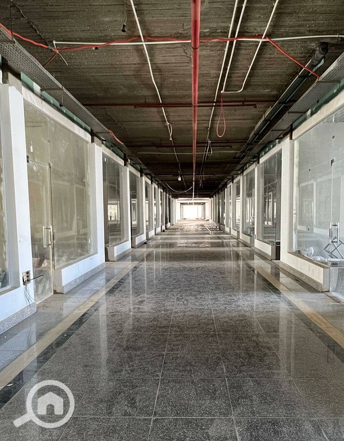 7 Generated Image September 15, 2025 - 2_26PM. png