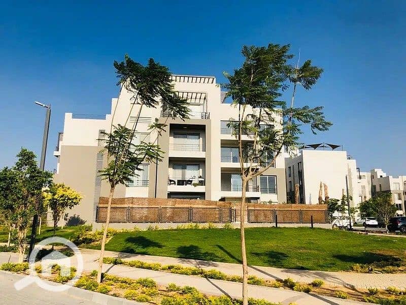 2 95155875-800x600. jpeg