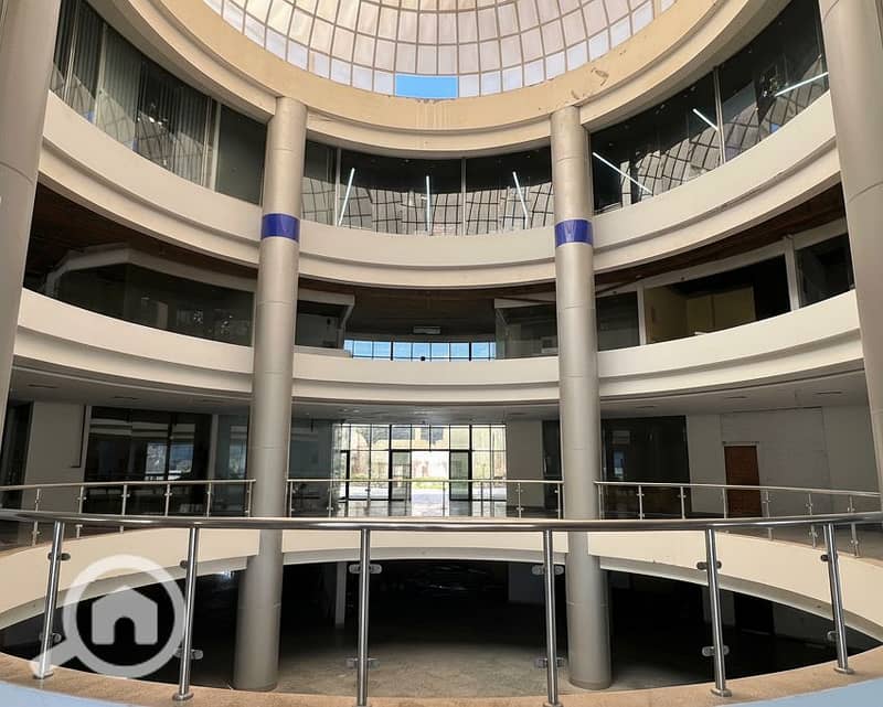 8 Generated Image September 23, 2025 - 2_06PM. png