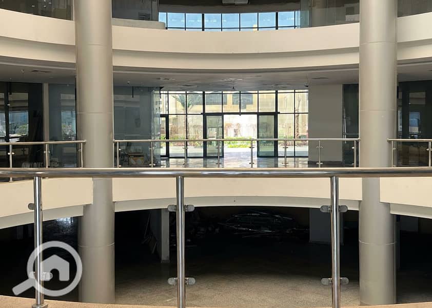 8 Generated Image September 23, 2025 - 1_55PM. png