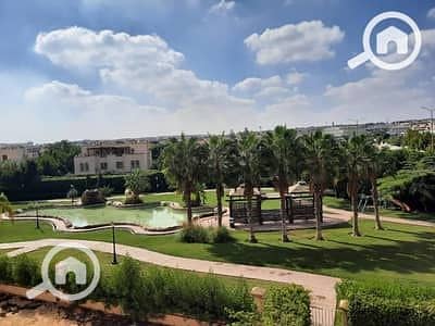 3 33618836-400x300. jpeg