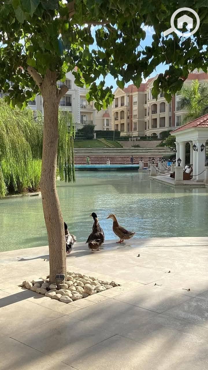 7 486671720_1192050705865464_3786324747069489625_n. jpg