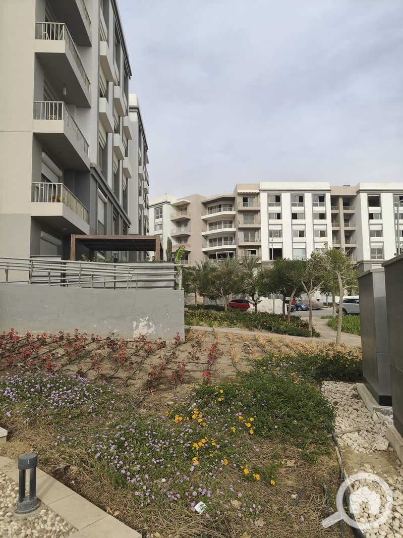 7 533134909_4062052797417549_5788702807816997052_n. jpg