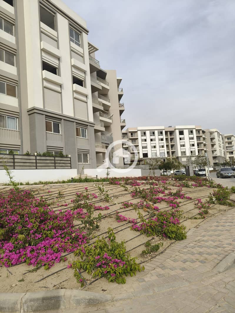 8 533396798_4062053017417527_6287174703323794744_n. jpg