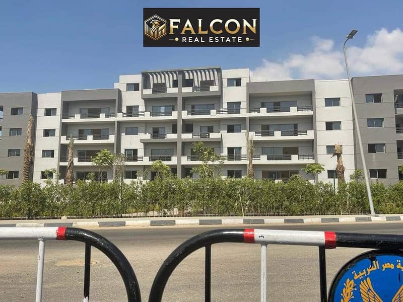 5 WhatsApp Image 2023-10-12 at 16.34. 04_3d28c141. jpg