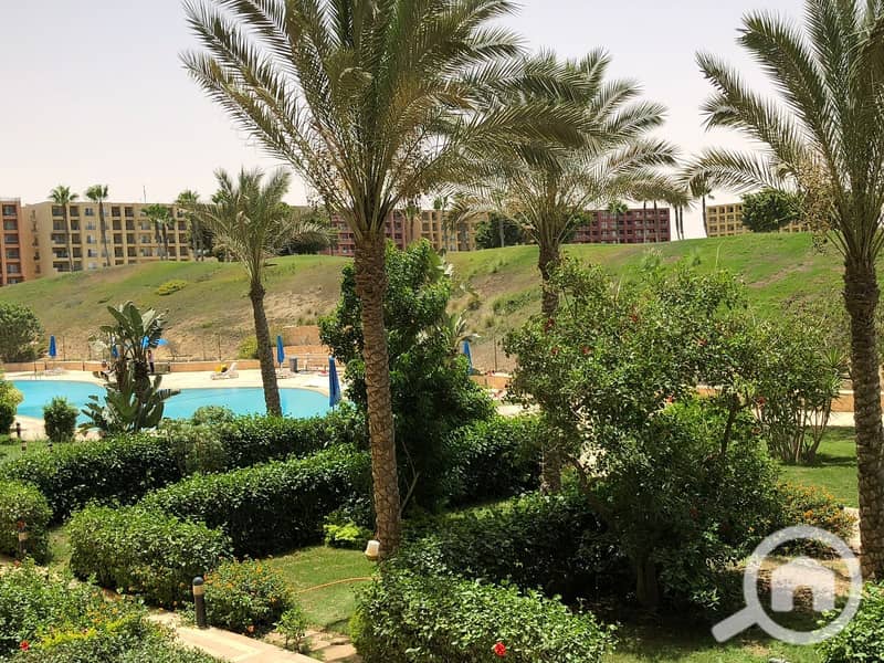 2 379edf62-041f-4ef9-bd52-34a5bdca8b27. jpeg