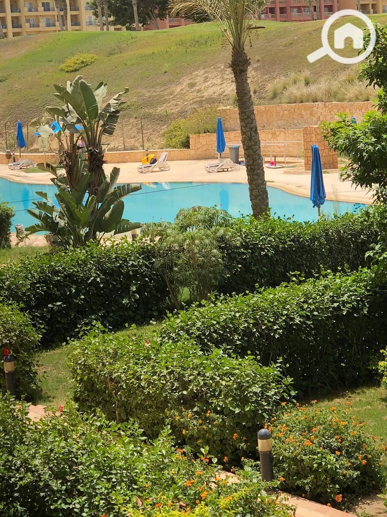 3 3a1de055-2a9b-4a4b-8210-ab5721316804. jpeg