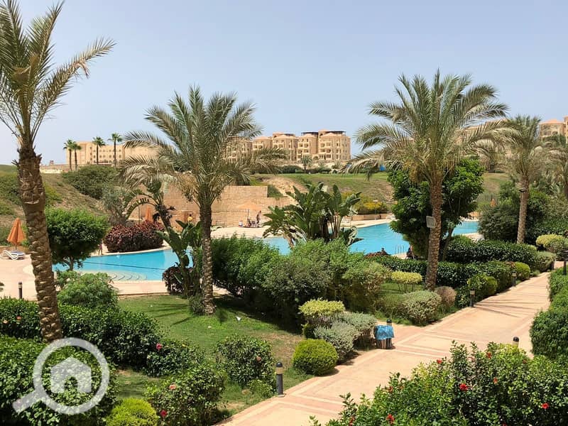 4 c145eca6-5a31-404d-9c2e-39c9bad99416. jpeg