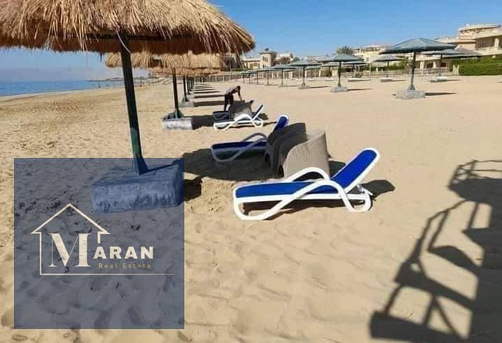 3 2aeeed41-b4c2-4ec0-b433-a8eafa0d5183. jpg