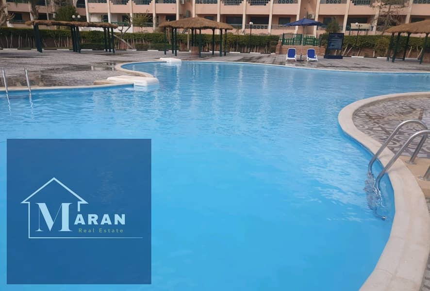 13 f4c08314-2938-47b5-8e01-591854dae2e9. jpg