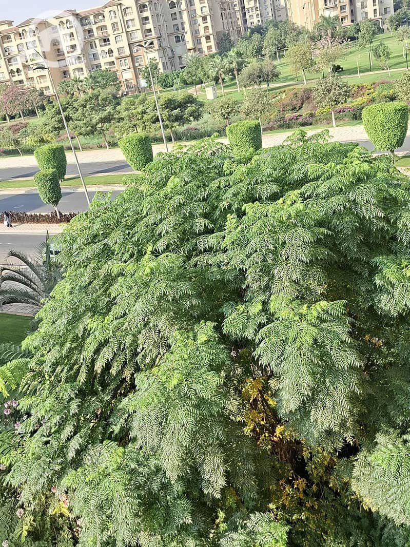 2 WhatsApp Image 2025-11-23 at 3.54. 58 PM (1). jpeg