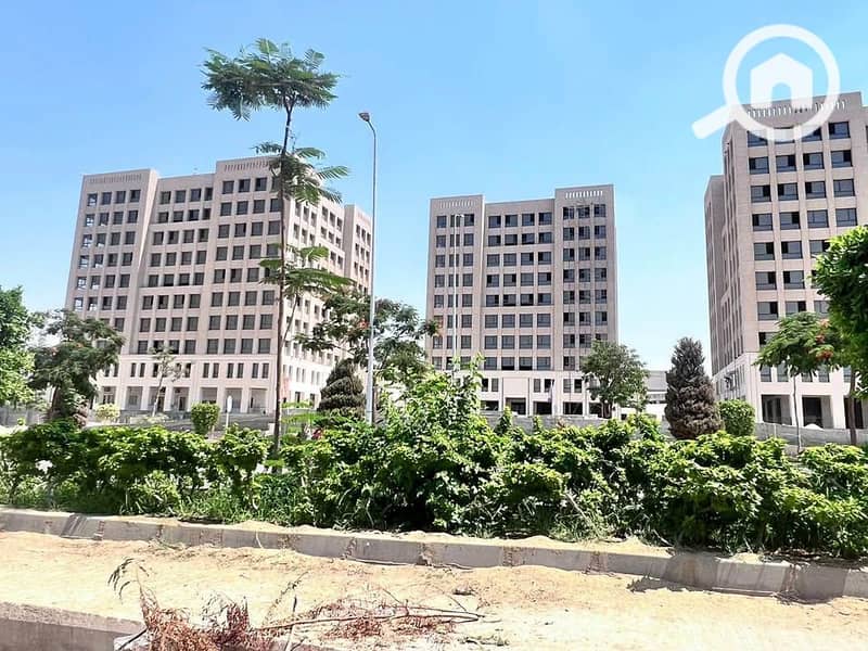 10 571374156_1076764154387248_9126930776008228253_n. jpg