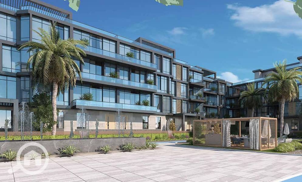 4 photo_3_2024-12-05_00-17-27. jpg