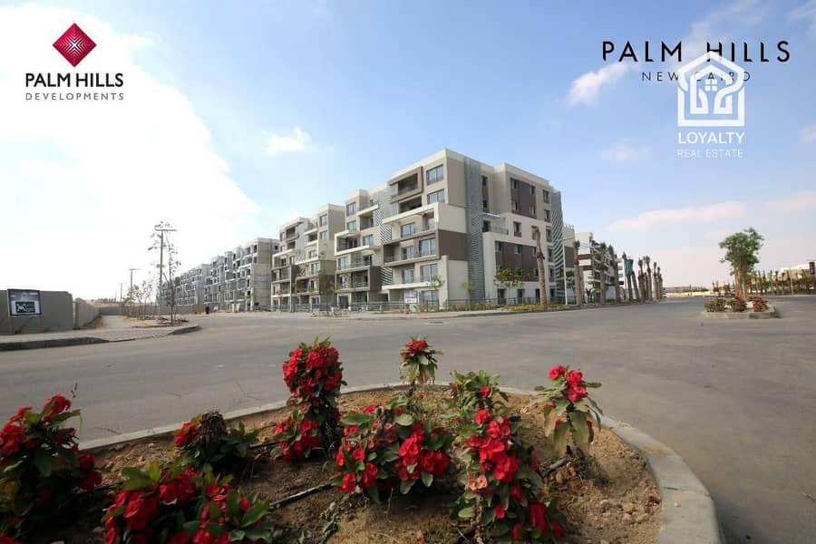 5 WhatsApp Image 2025-09-24 at 17.27. 04 (1). jpeg