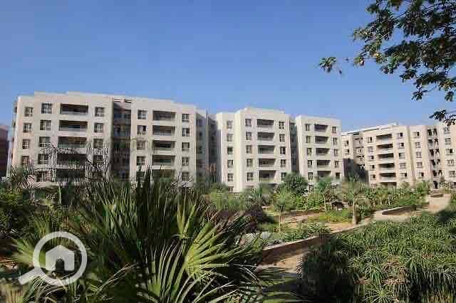 4 39bfeca0-6d21-4bed-a3e7-a17dfa36ee49. jpg