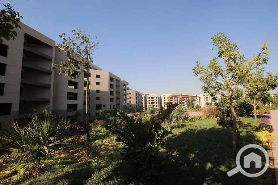 6 49a21ef8-53cc-4ce2-931a-14bbc8d141a3. jpg