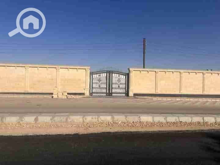 6 IMG-20251113-WA0082. jpg