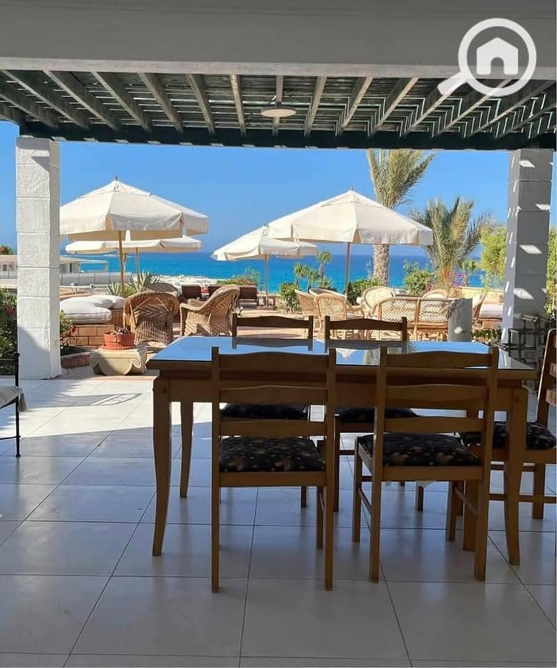 4 582985925_122154060920645424_6696260165551171374_n. jpg