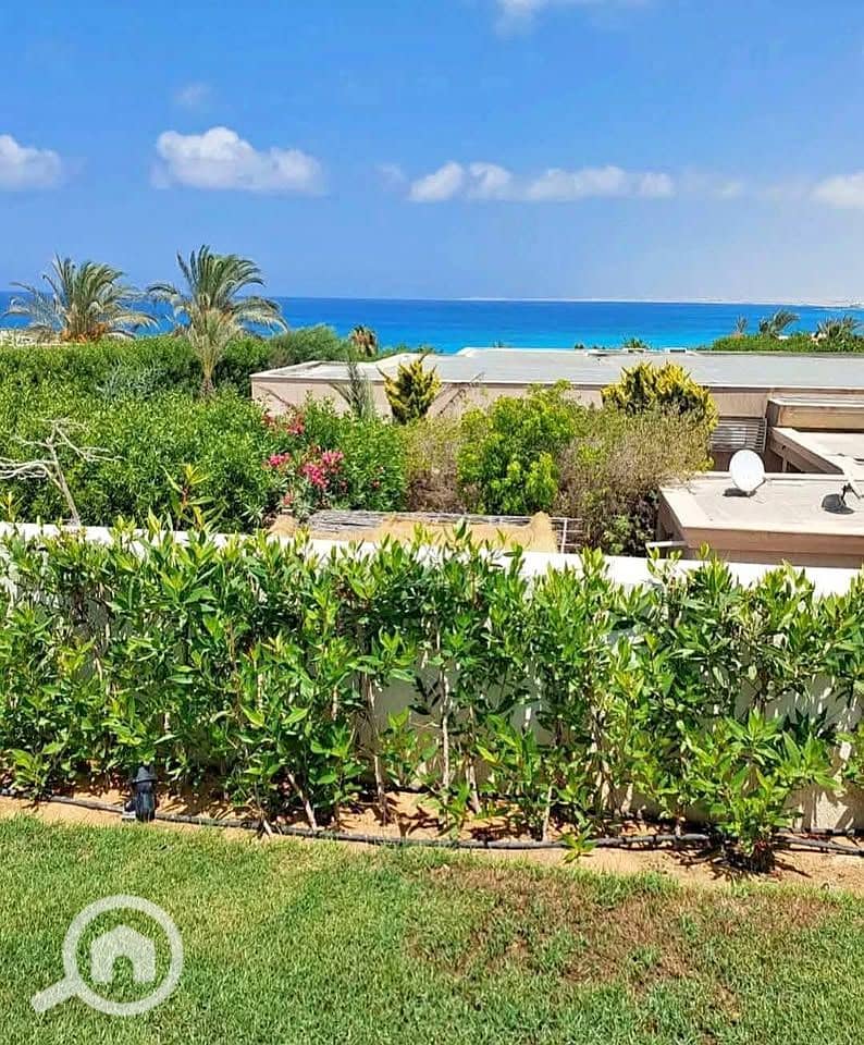 6 582054562_122154062840645424_5082804250750577086_n(1). jpg